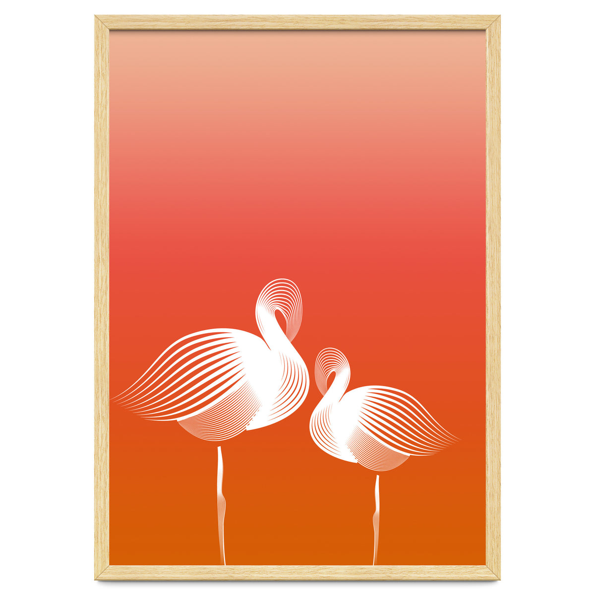 Meditating Flamingos