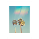 Groovy California Palm Trees (Print Only) thumbnail
