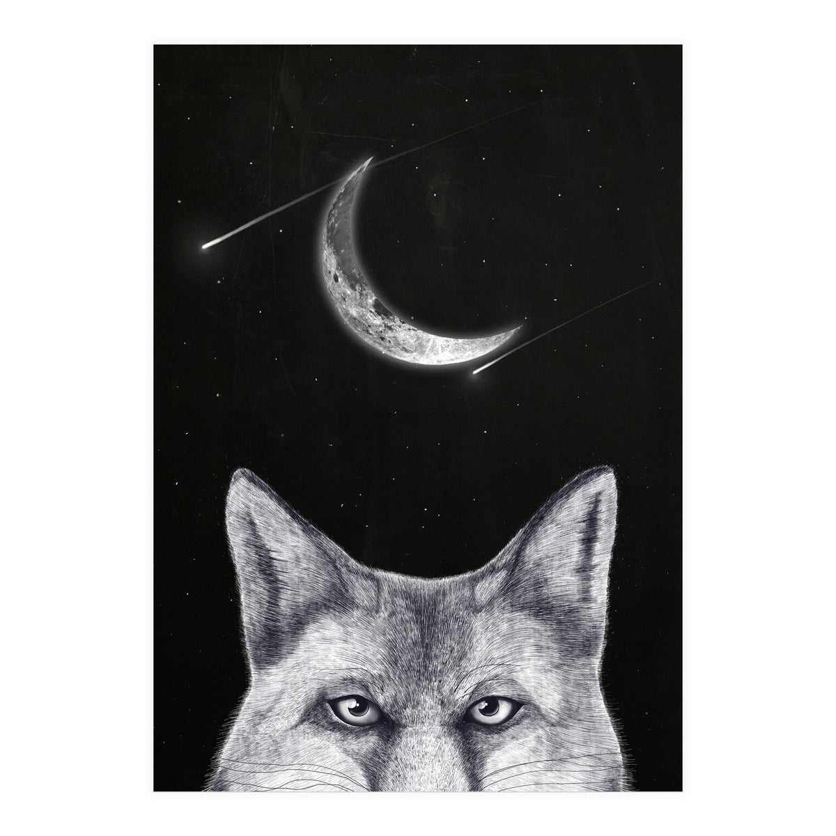 Fox Of The Night (Print Only)