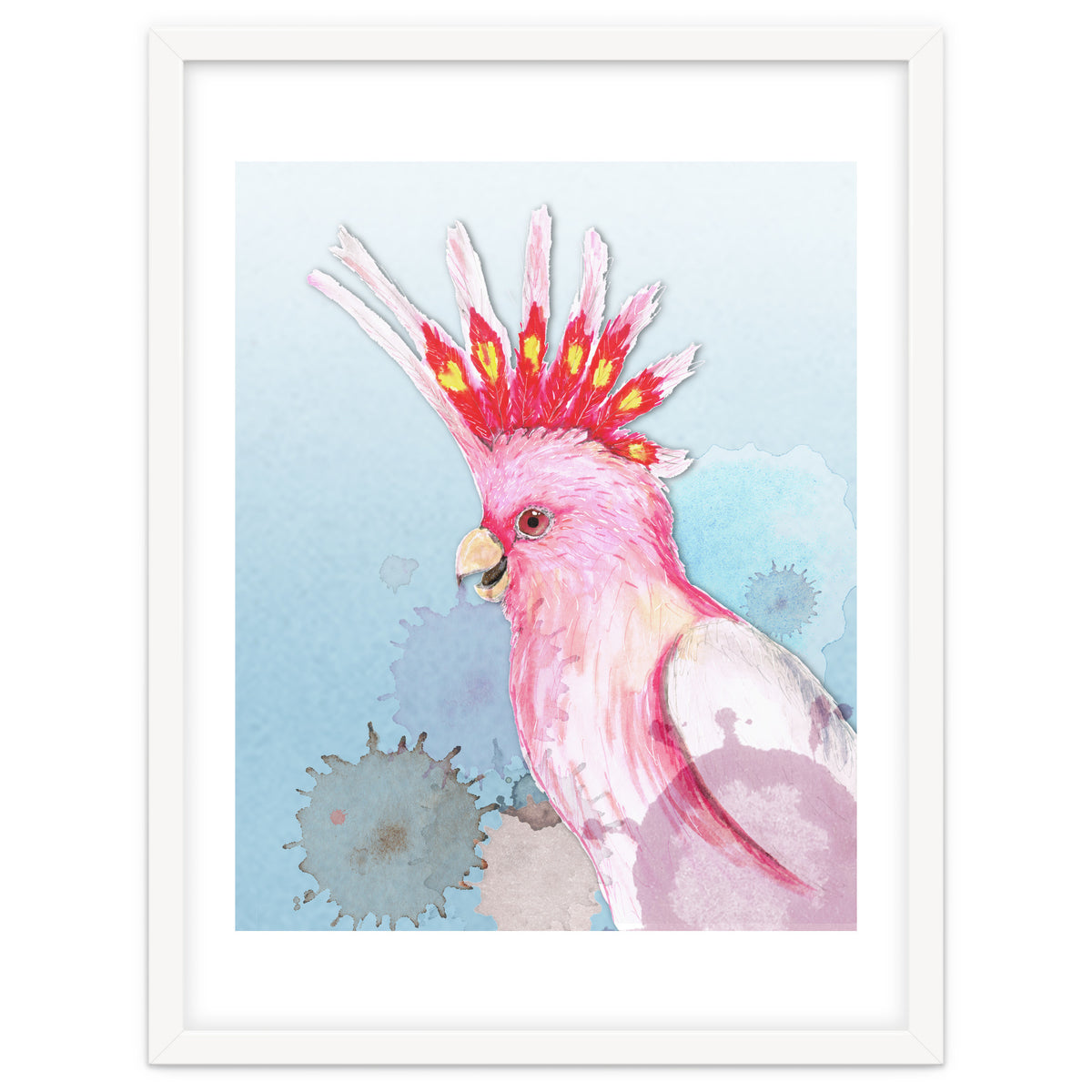 Major Mitchell's cockatoo