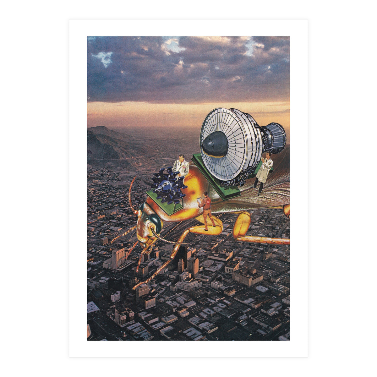 Cockroach Airways (Print Only)