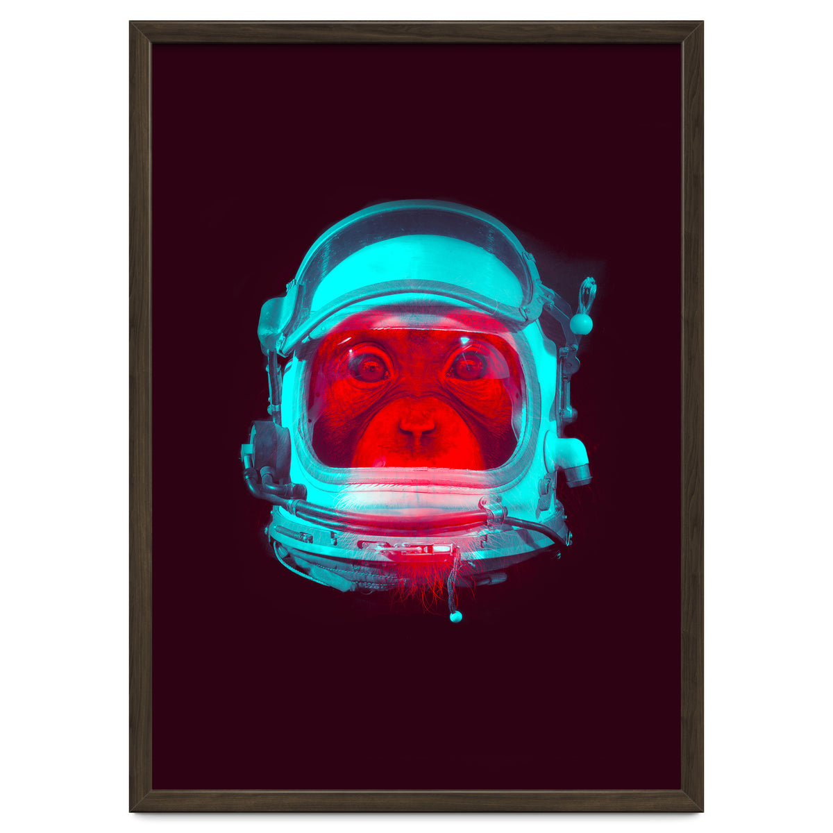 Astronaut