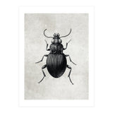 84 (Print Only) thumbnail