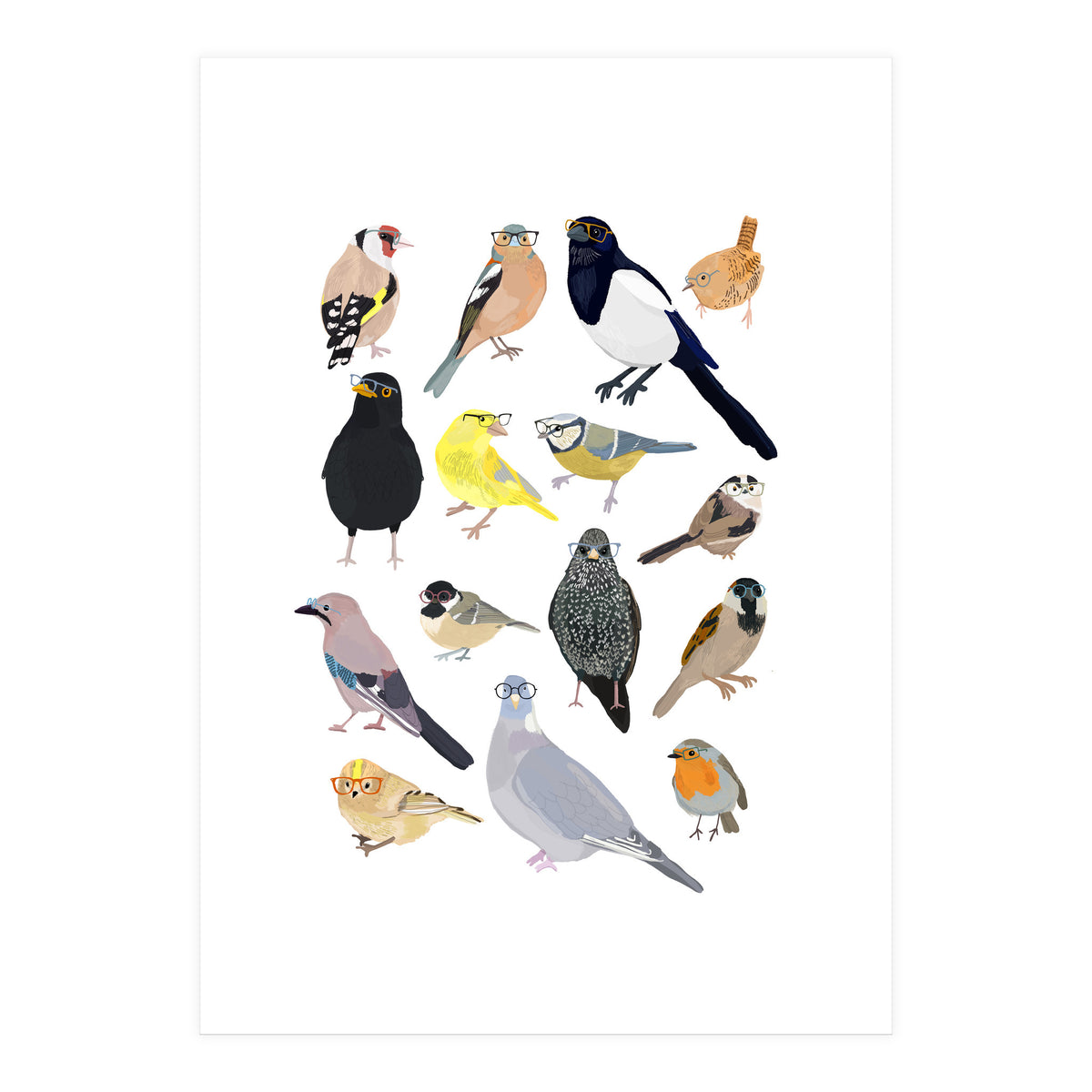 UK Birds in Glasses (Print Only)