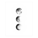 Moon Phases (Print Only) thumbnail