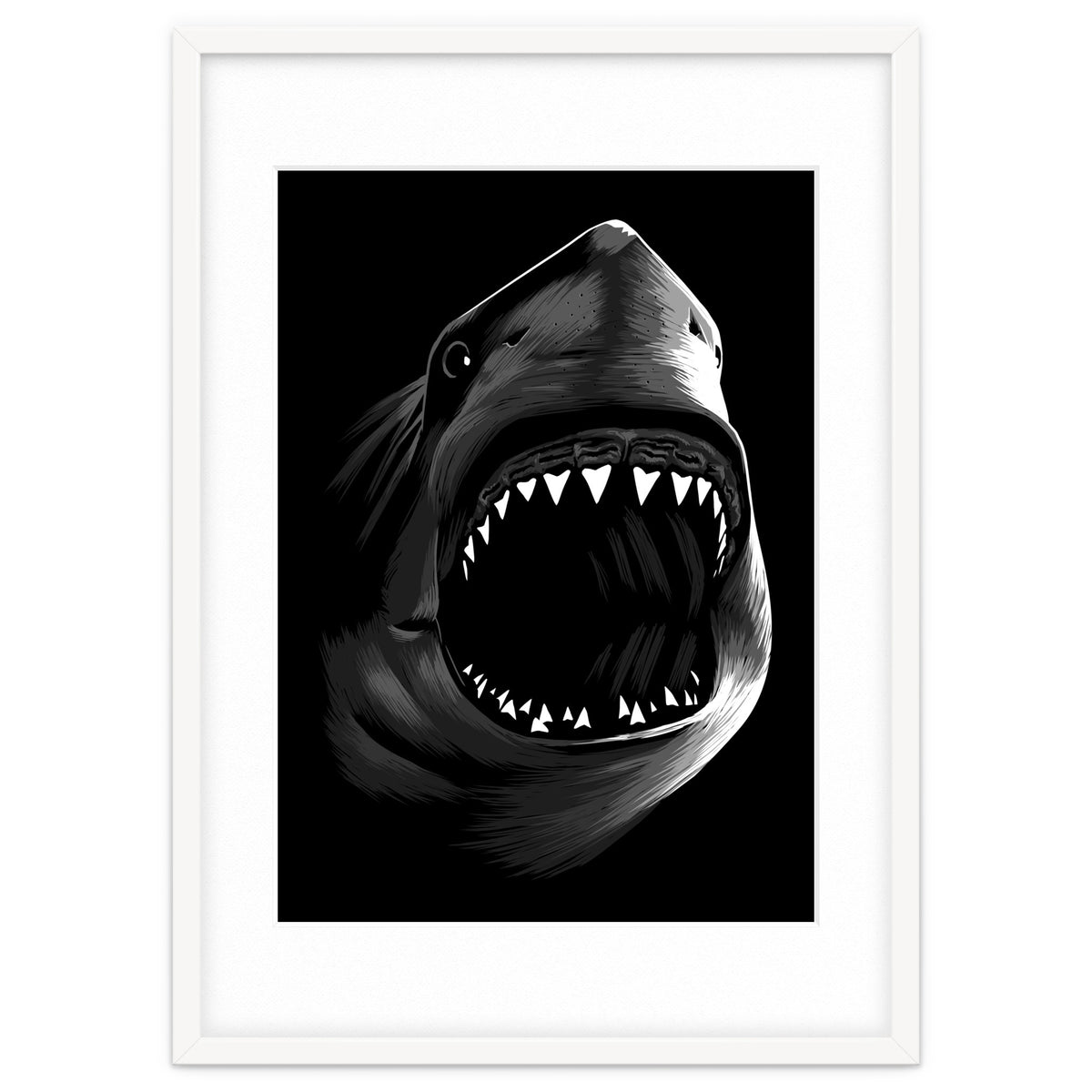 Megalodon