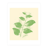Flying Leaves (Print Only) thumbnail