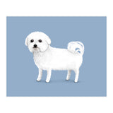Bichon Frise (Print Only) thumbnail