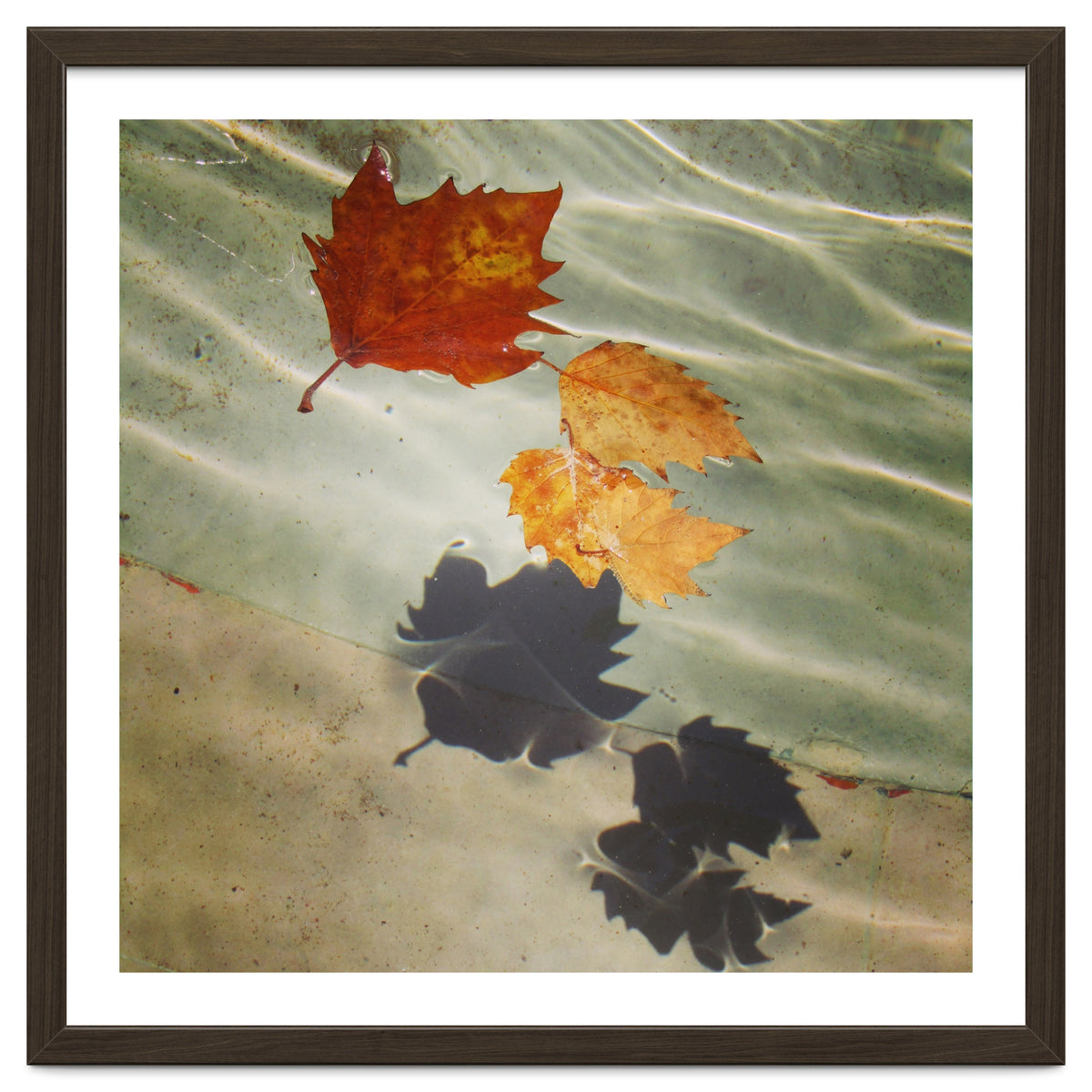 Floating leaves