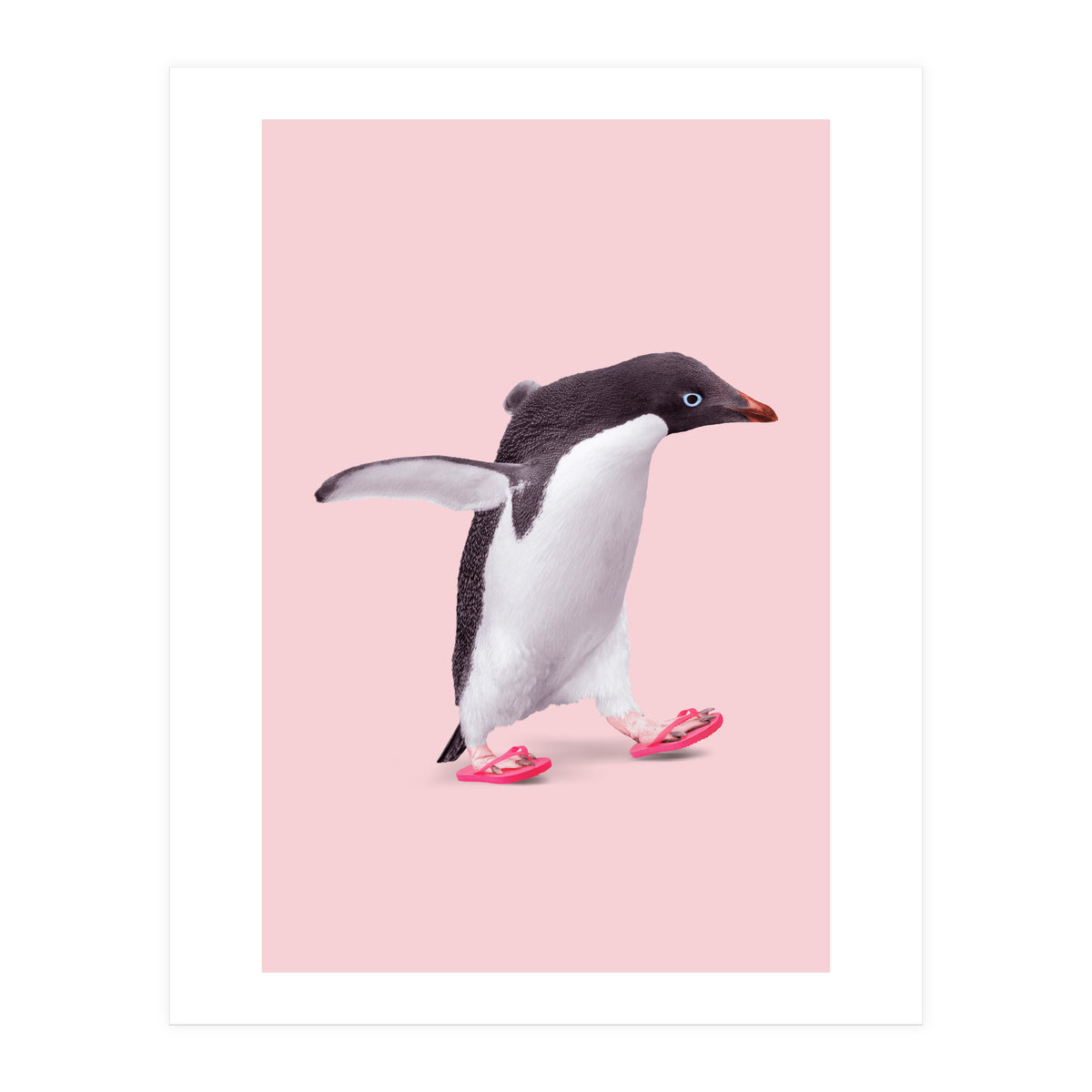 Flip Flop Penguin (Print Only)