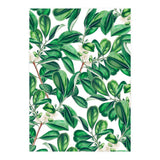 Botanica (Print Only) thumbnail