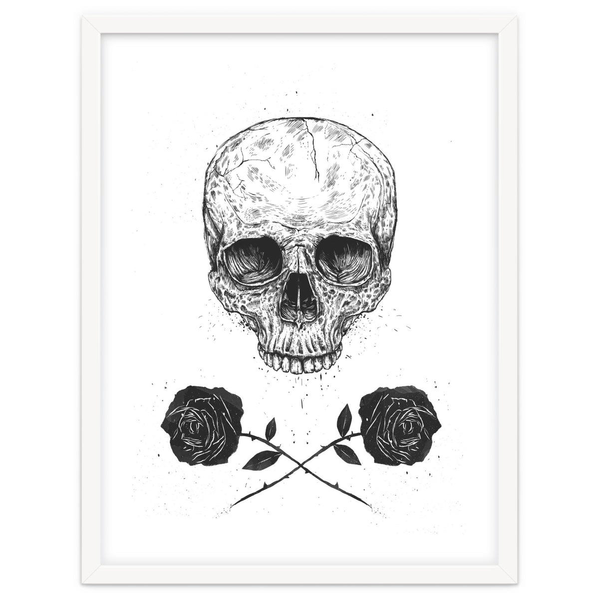 Skull N Roses
