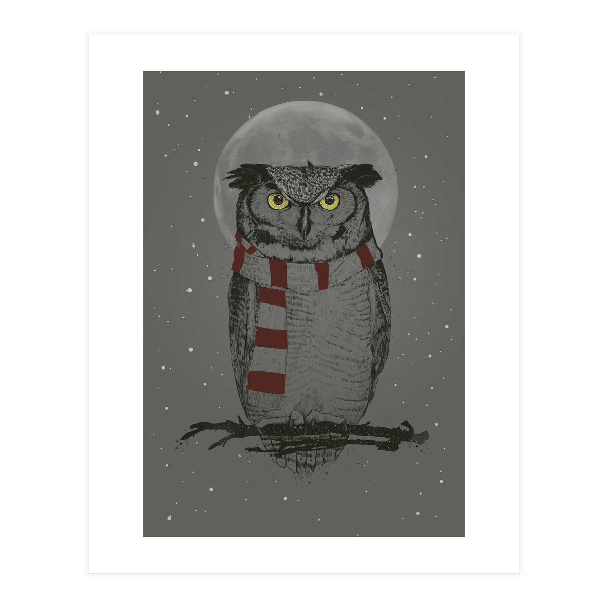 Winter Owl (Print Only)