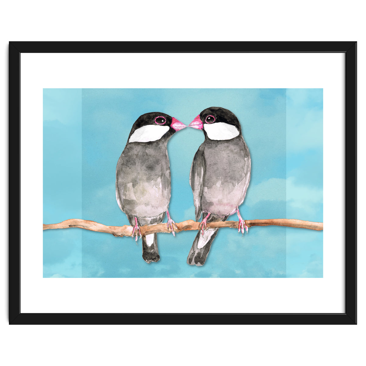 Two kissing Java sparrows