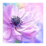 Wispy Purple Anemone (Print Only) thumbnail