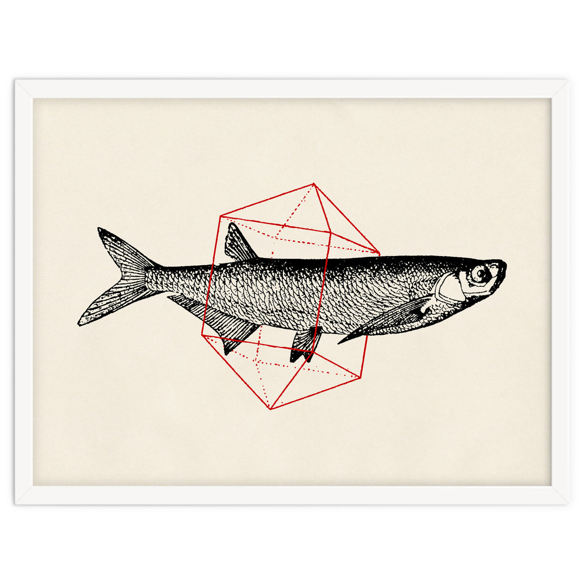 Fish In Geometrics II
