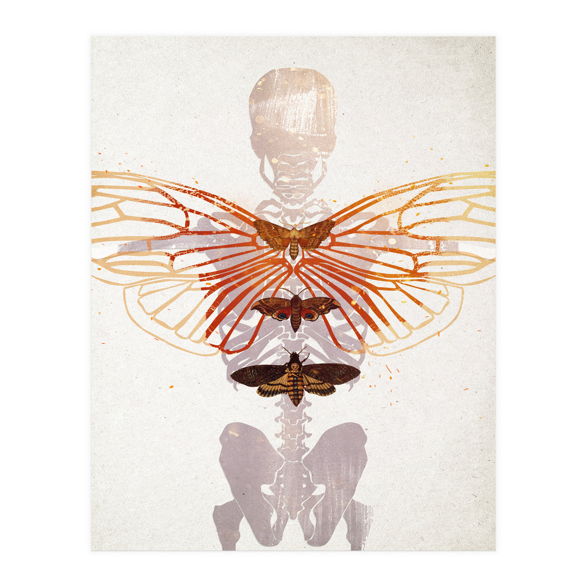 Ikarus - Like a Moth to the Flame (Print Only)