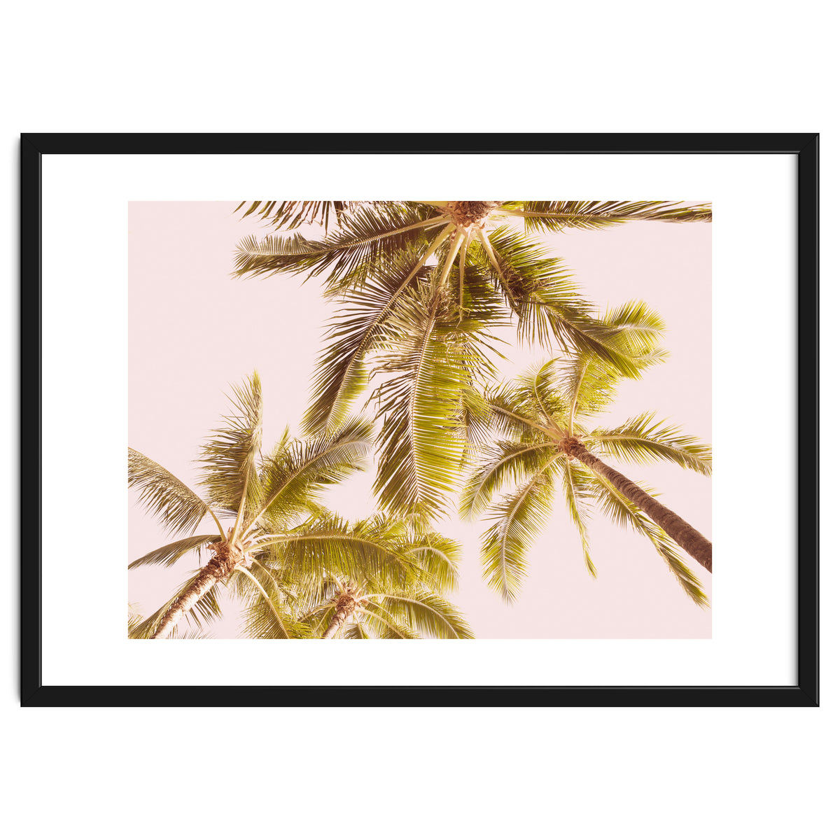 Blush Pink Boho Palm Trees