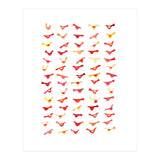 An Army Of Undisciplined Birds (Print Only) thumbnail