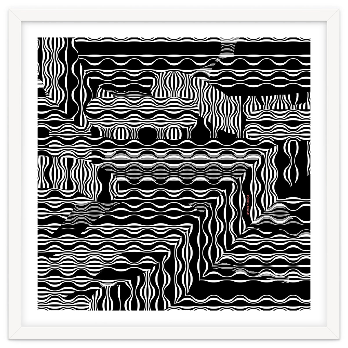 BLACK AND WHITE EXOTIC