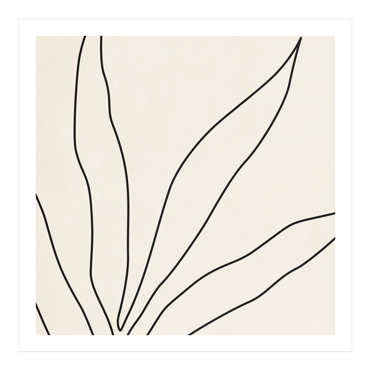 LEAF IN LINE 02 (Print Only)