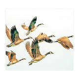Fly Away Ii (Print Only) thumbnail