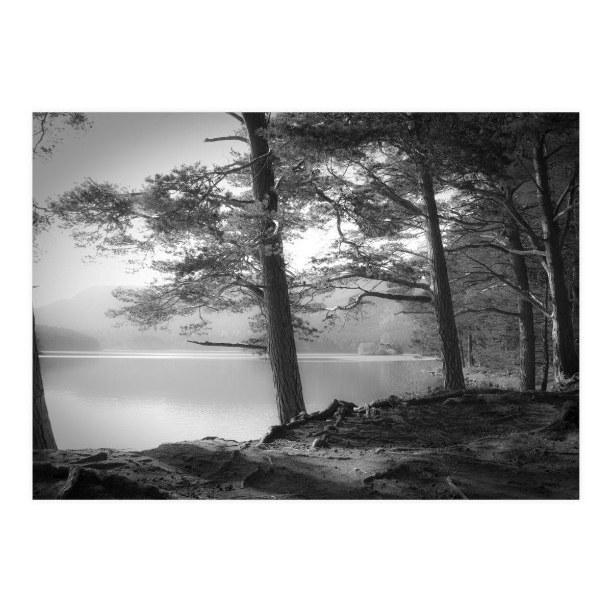 Loch an Eilein (Print Only)