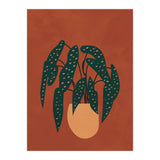 Boho Terracotta Begonia (Print Only) thumbnail