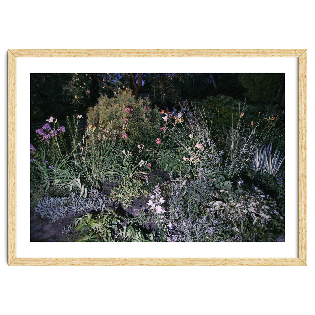 Picture Postcard Perfect