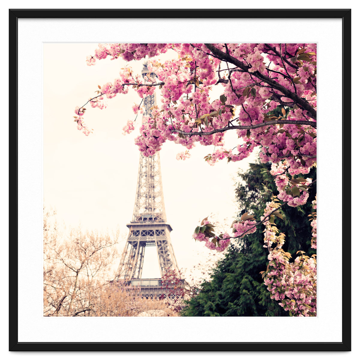 Paris in the Spring