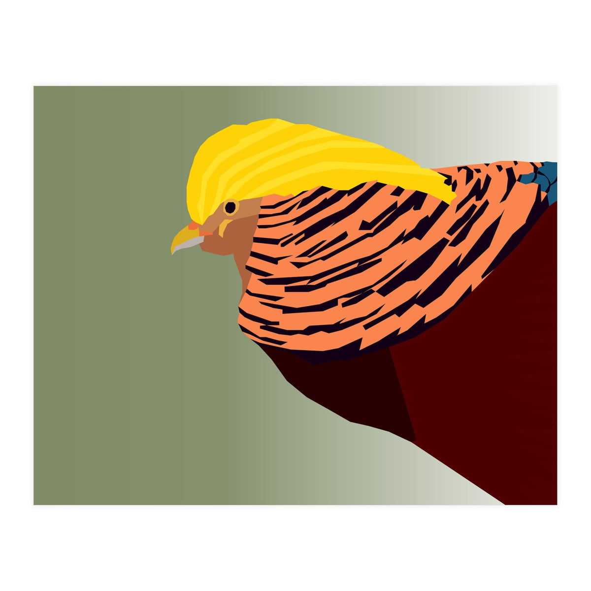Golden Pheasant Bird Art (Print Only)