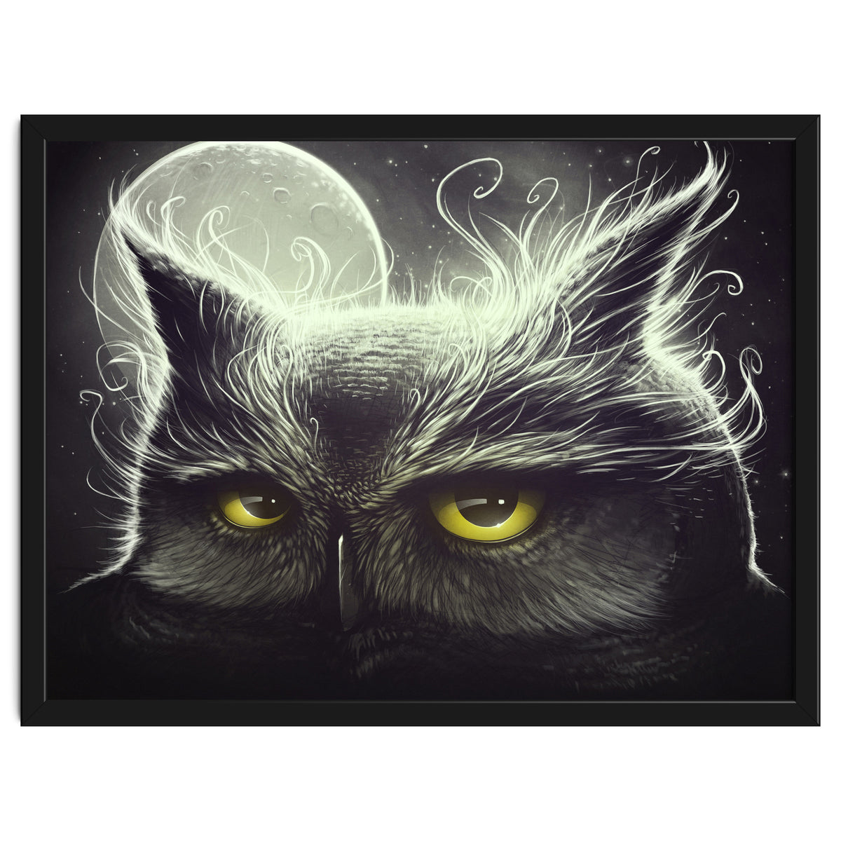 Owl And The Moon