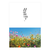 Harmony - cosmos flower - nature photography  (Print Only) thumbnail