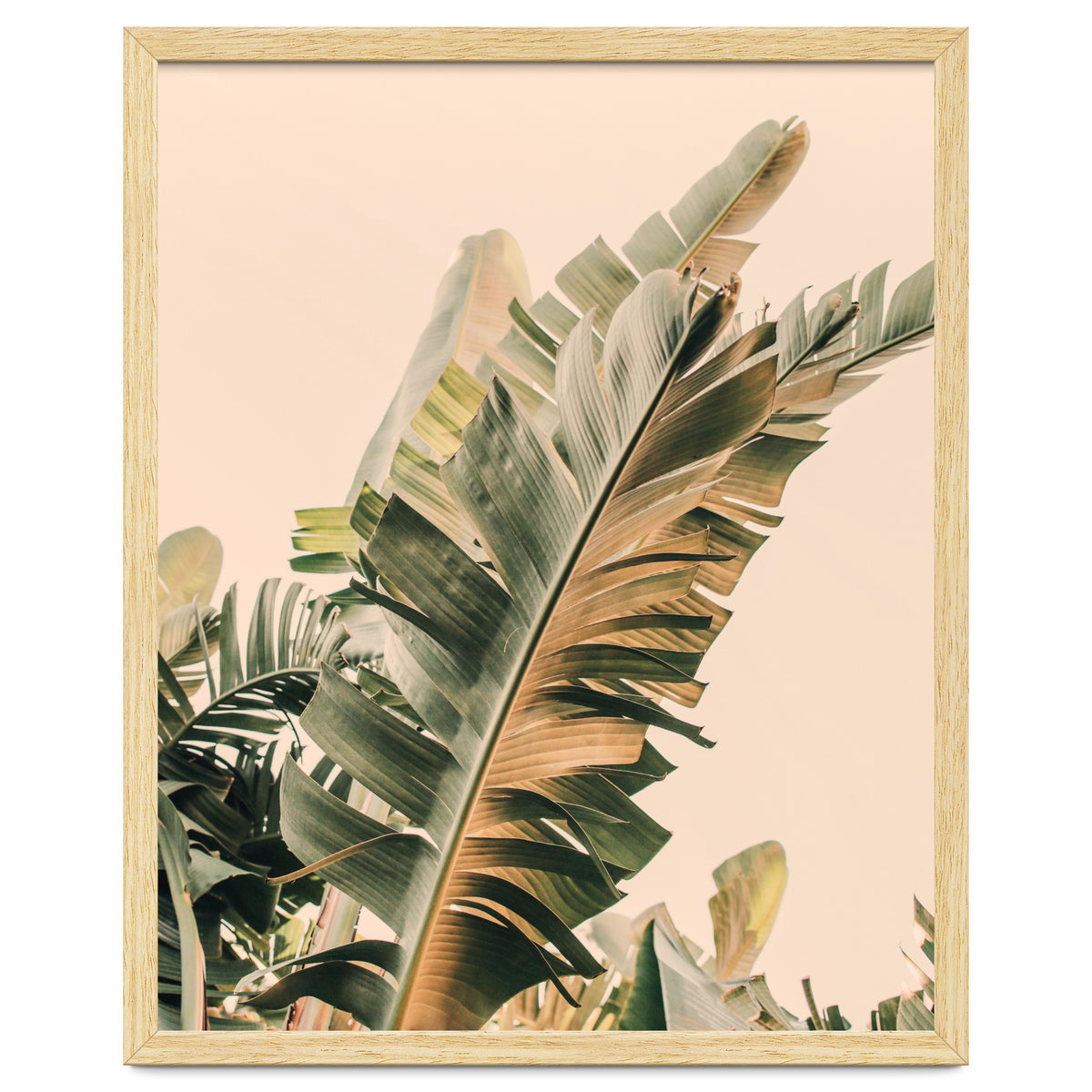 Growing Green Alicia Bock