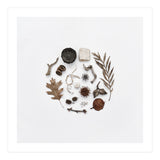 Treasures From Nature No. 2 - Square (Print Only) thumbnail