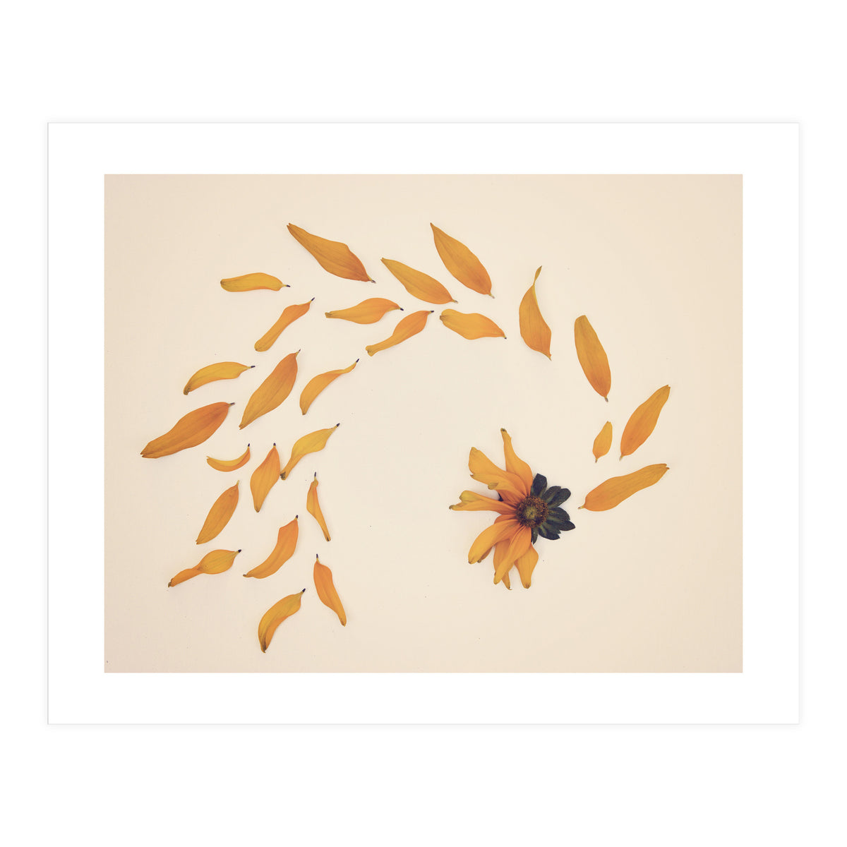 Everything Changed (Print Only)