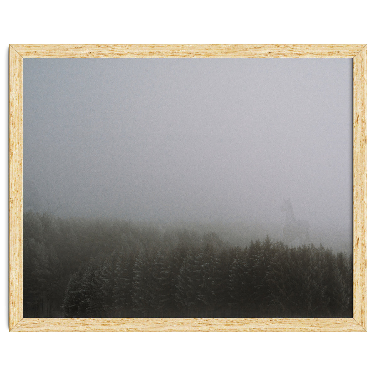 What the Hell did I just See?