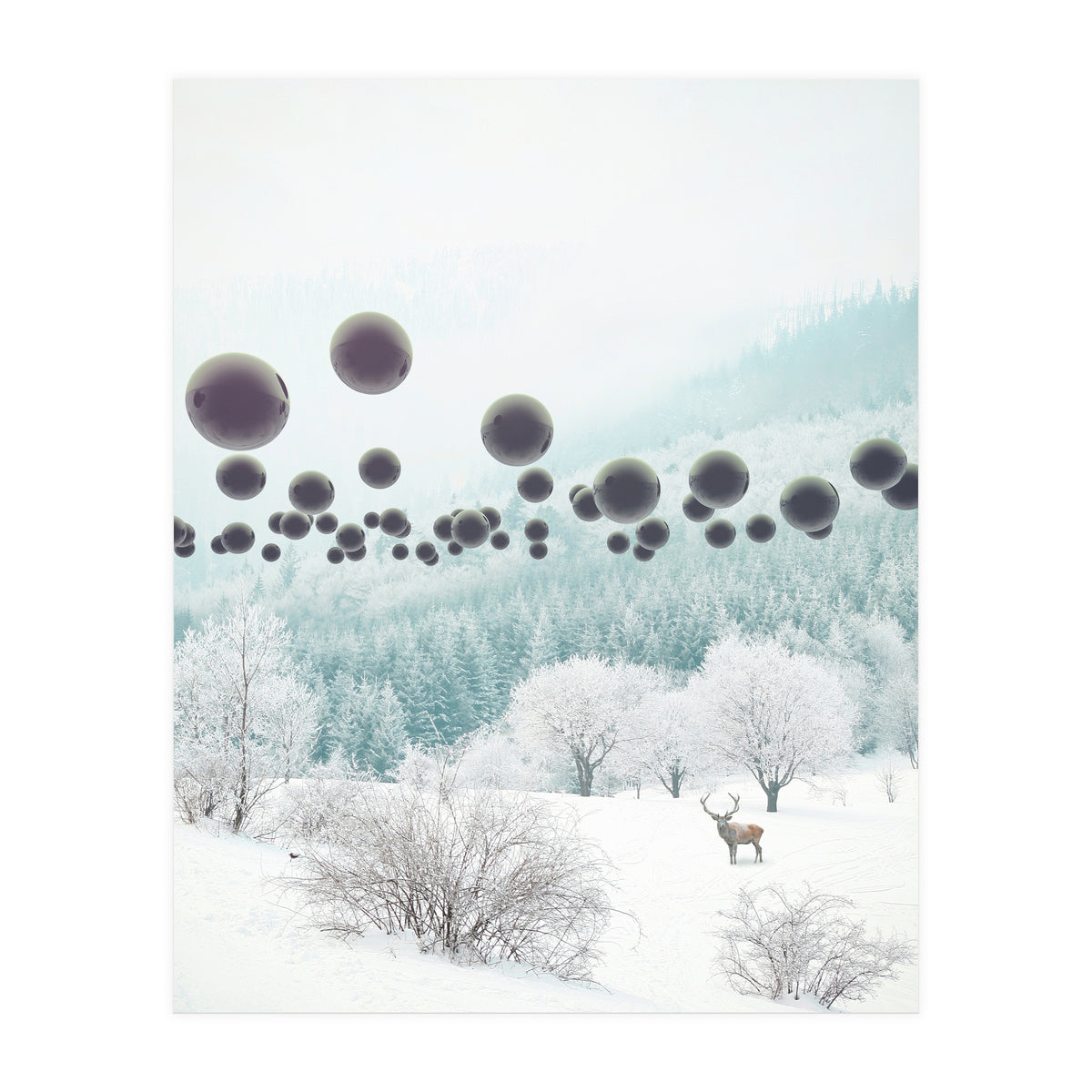 Forest Phantom (Print Only)