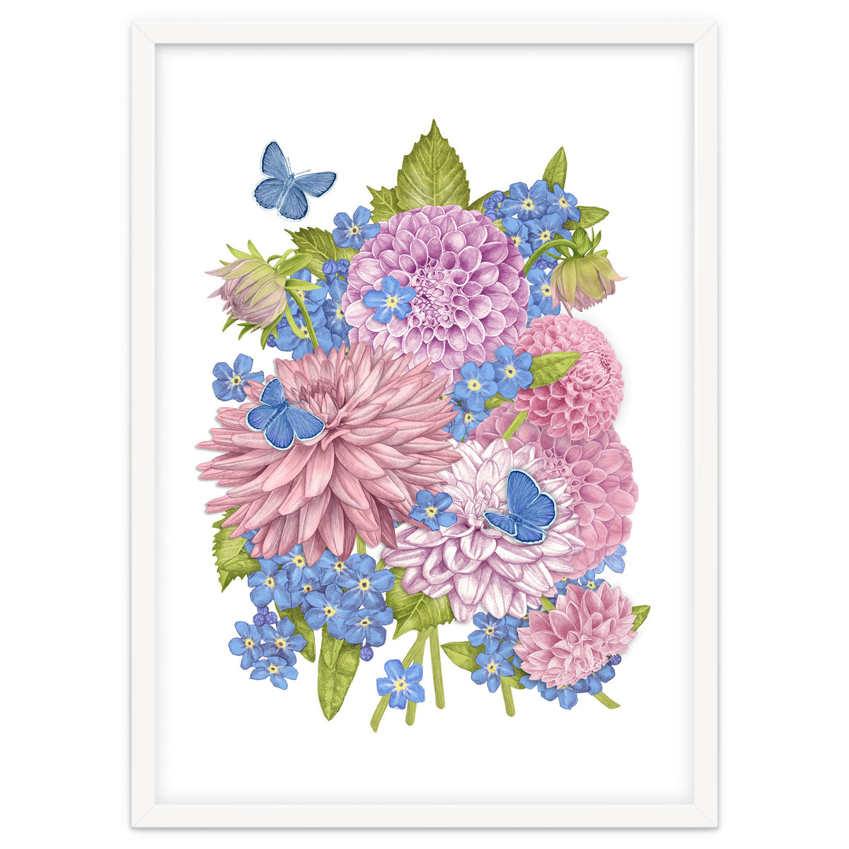 Pink Flowers and Butterflies