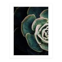 Darkside Of Succulents 4-E (Print Only)