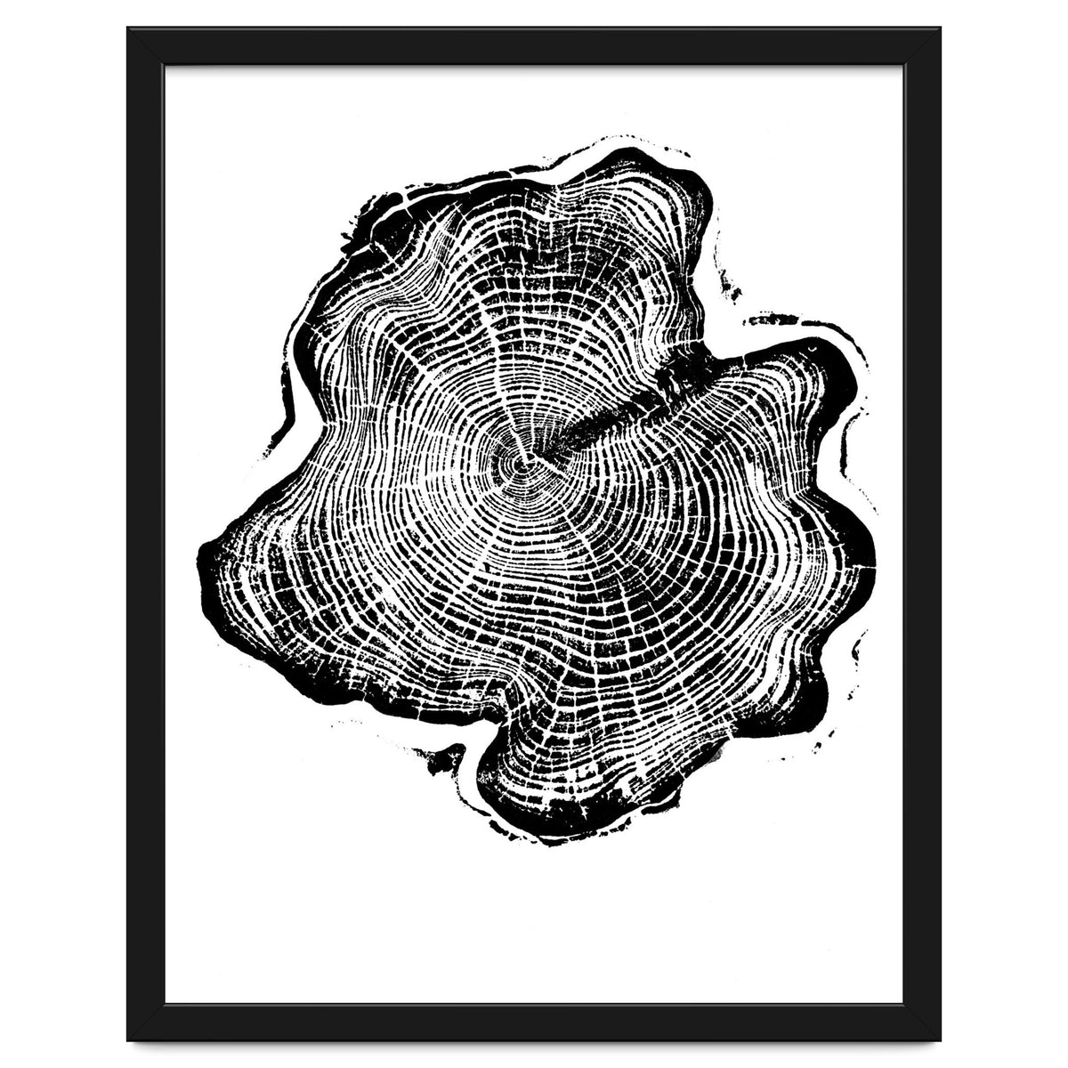 Alaskan Cypress, Tree Ring Art Print, Woodblock