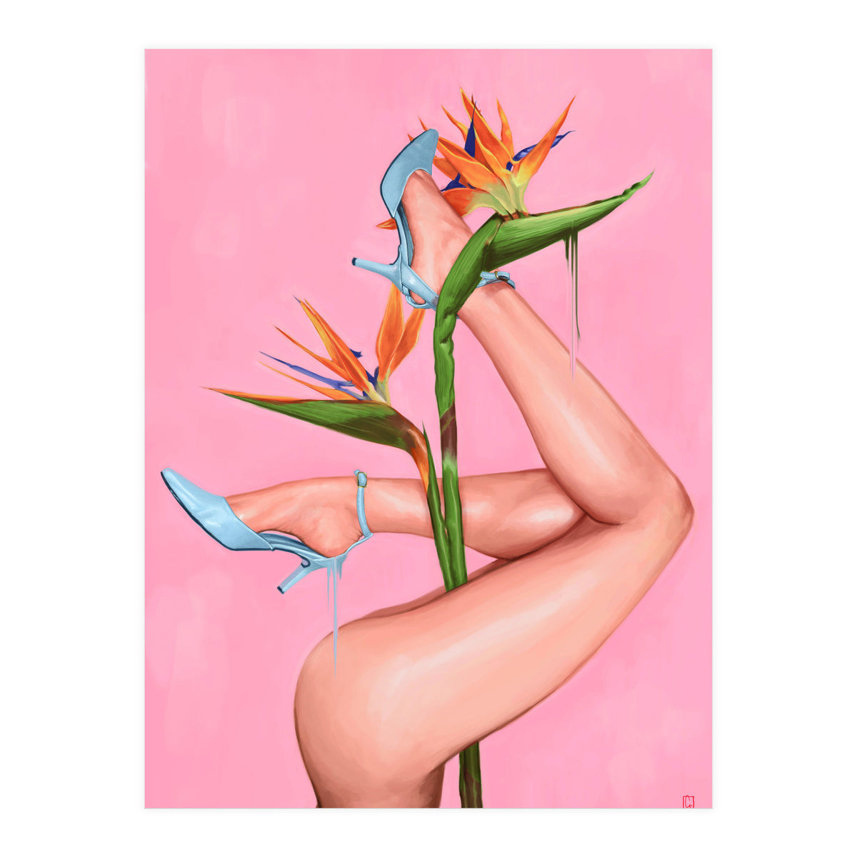 Bird Of Paradise (Print Only)