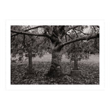 Golgotha (Print Only) thumbnail
