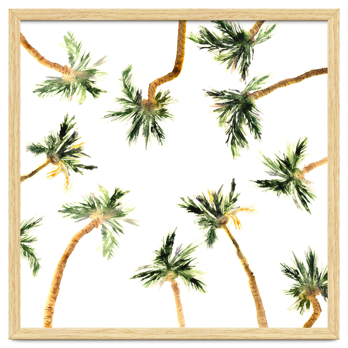 Under the coconut palms || watercolor