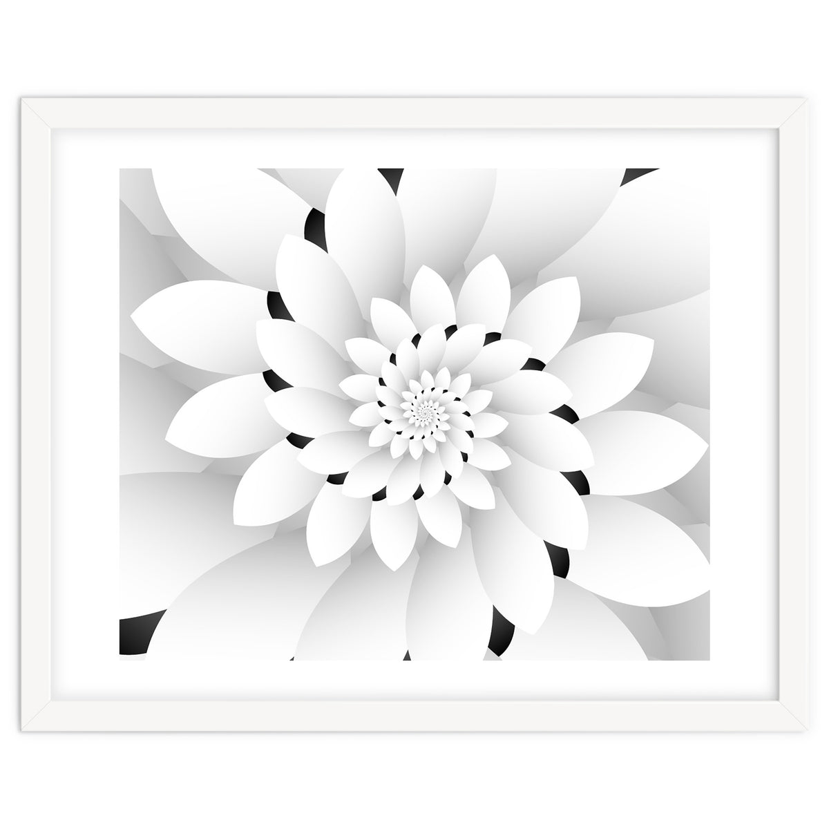 Monochrome Floral Design