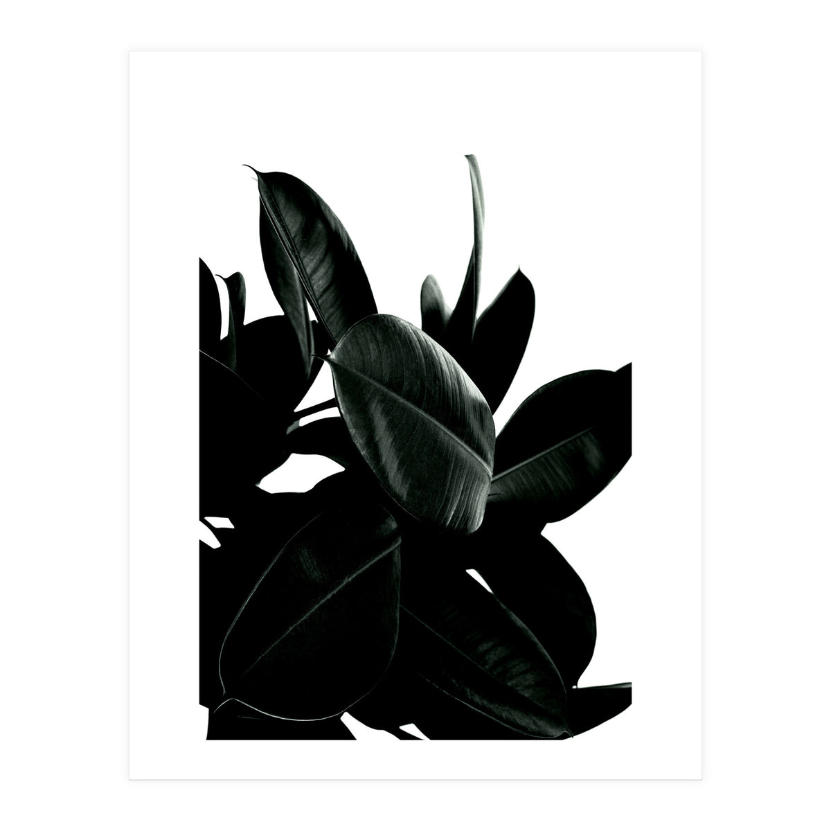 Dark Tree (Print Only)