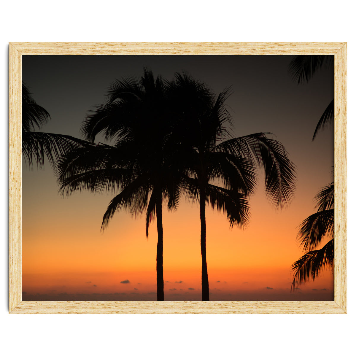 Mexico, November nights