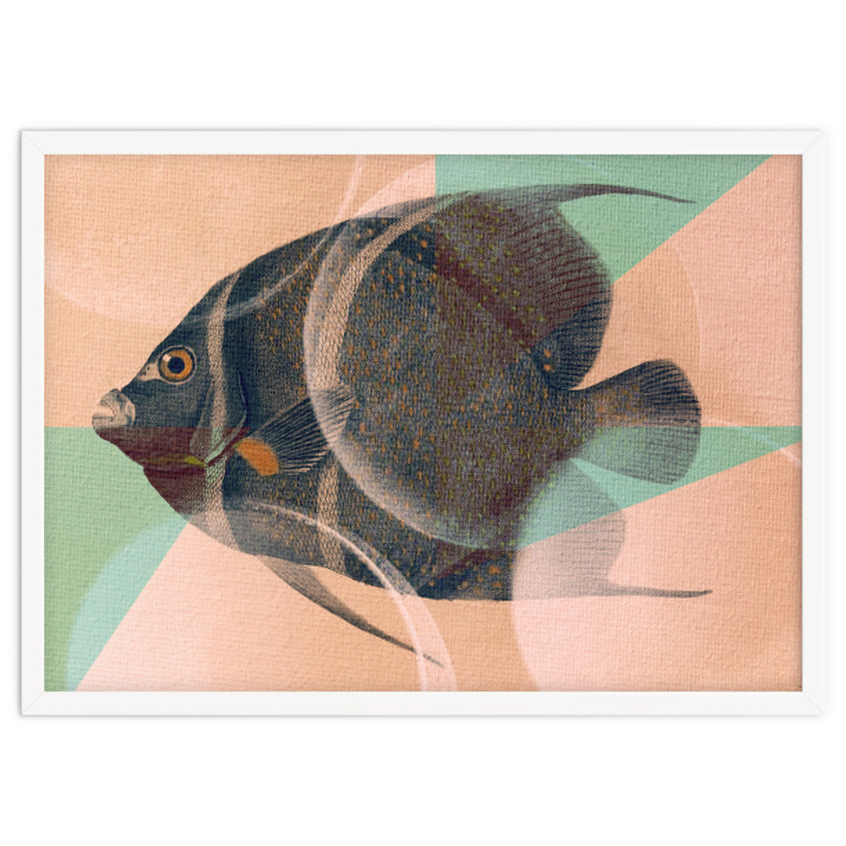 Fish Between Circles 2