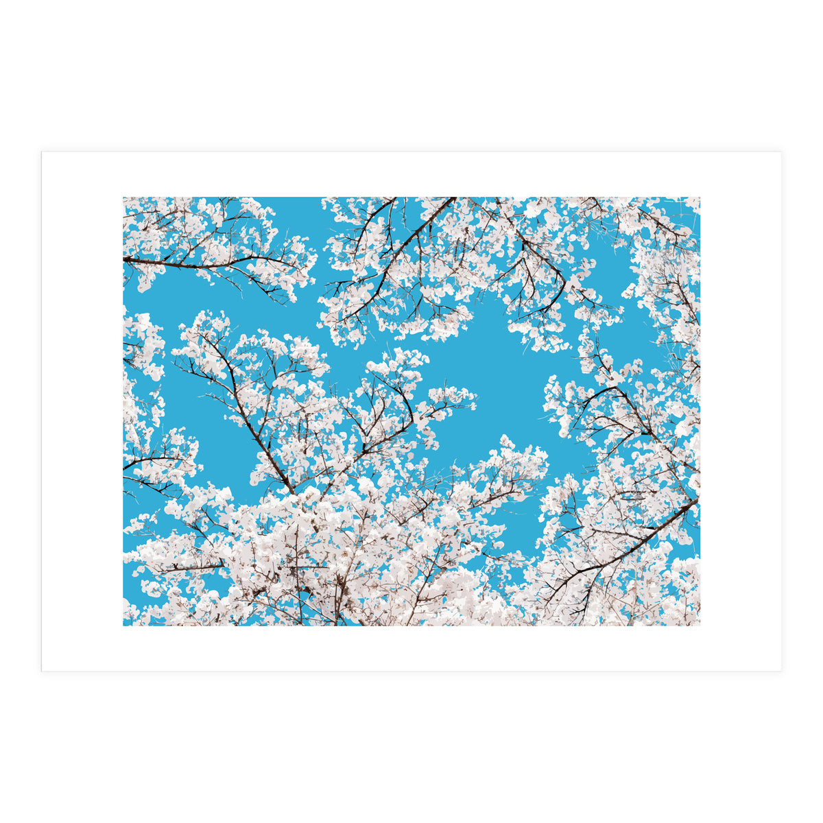 White Blossom (Print Only)