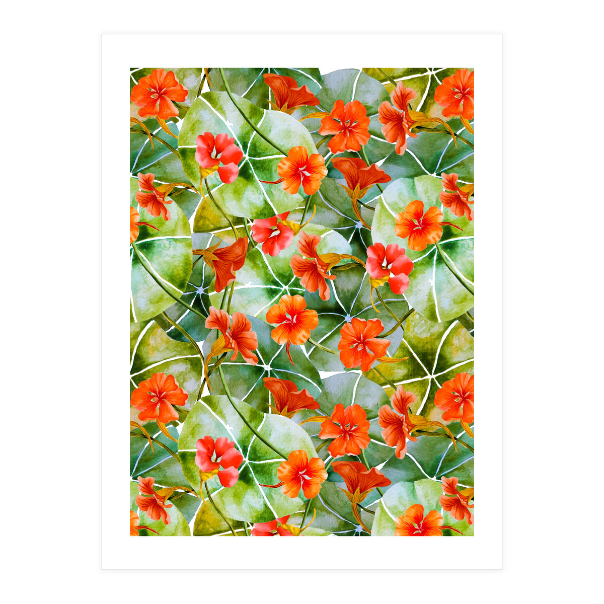 Nasturtiums watercolor 01 (Print Only)